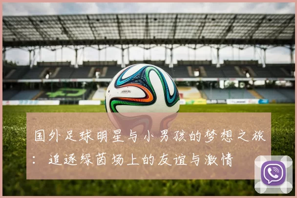 国外足球明星与小男孩的梦想之旅：追逐绿茵场上的友谊与激情