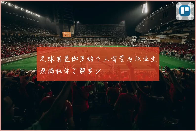 足球明星伽罗的个人背景与职业生涯揭秘你了解多少