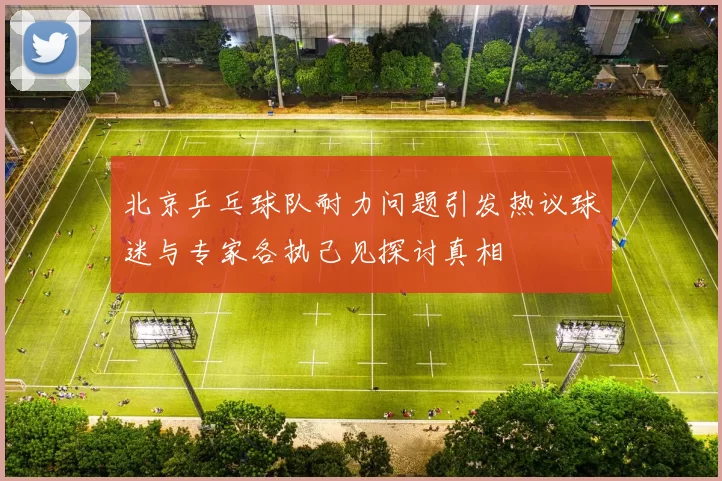北京乒乓球队耐力问题引发热议球迷与专家各执己见探讨真相