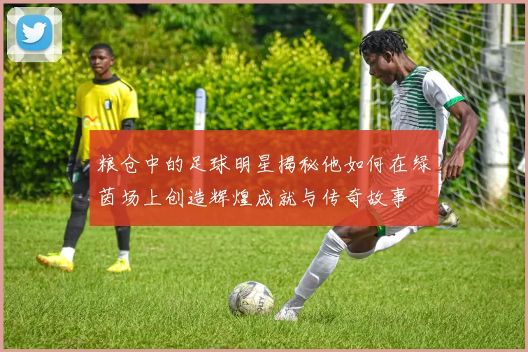 粮仓中的足球明星揭秘他如何在绿茵场上创造辉煌成就与传奇故事