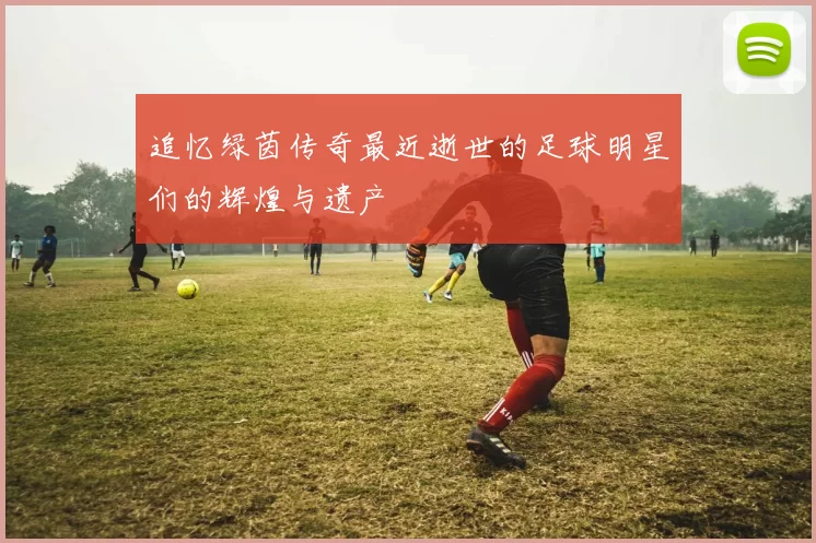 追忆绿茵传奇最近逝世的足球明星们的辉煌与遗产