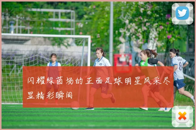 闪耀绿茵场的正面足球明星风采尽显精彩瞬间