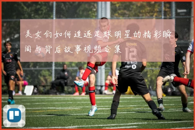 美女们如何追逐足球明星的精彩瞬间与背后故事视频合集
