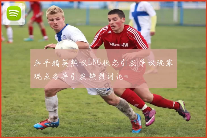 和平精英热议LNG状态引发争议玩家观点各异引发热烈讨论