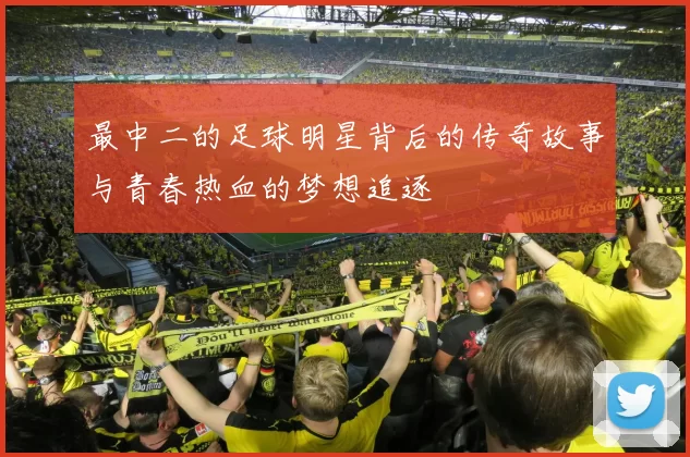 最中二的足球明星背后的传奇故事与青春热血的梦想追逐