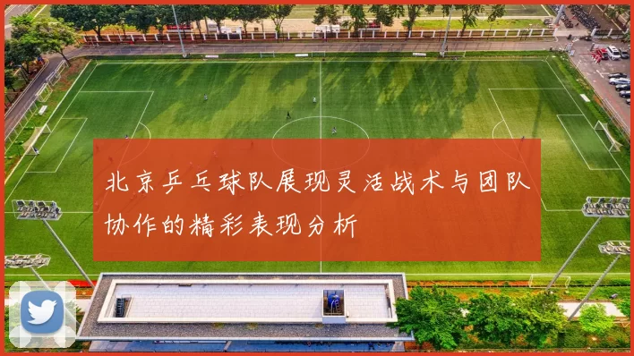 北京乒乓球队展现灵活战术与团队协作的精彩表现分析