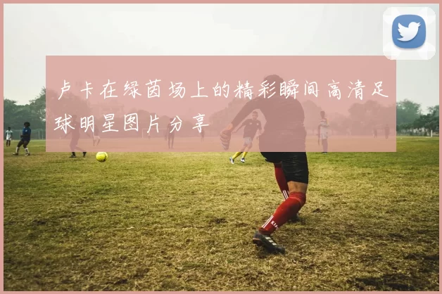 卢卡在绿茵场上的精彩瞬间高清足球明星图片分享