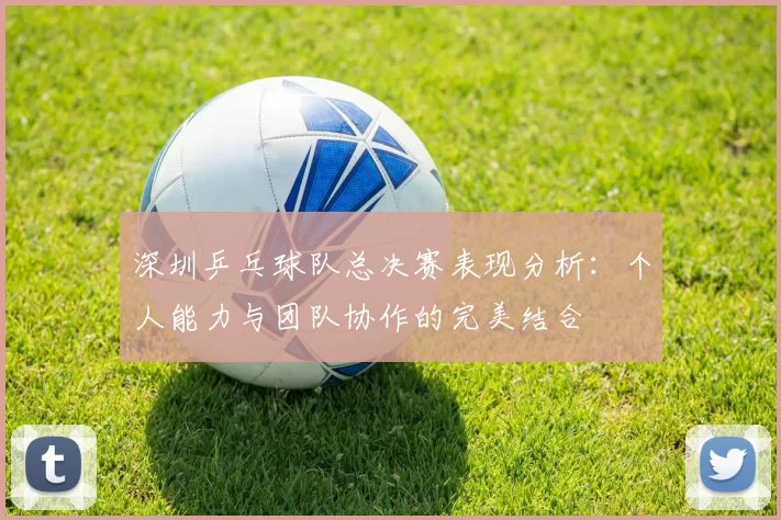 深圳乒乓球队总决赛表现分析：个人能力与团队协作的完美结合