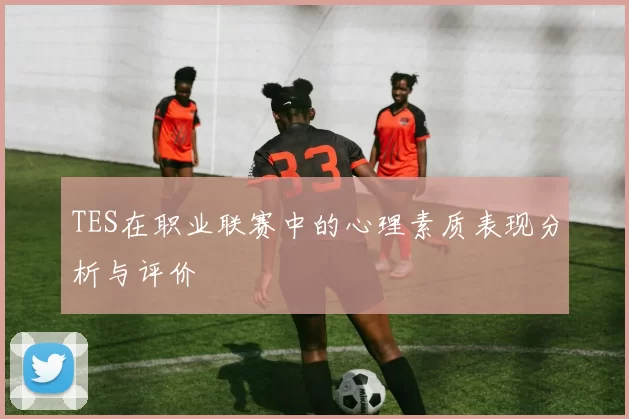 TES在职业联赛中的心理素质表现分析与评价