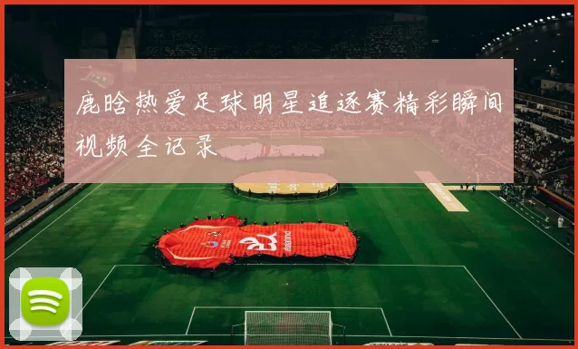 鹿晗热爱足球明星追逐赛精彩瞬间视频全记录
