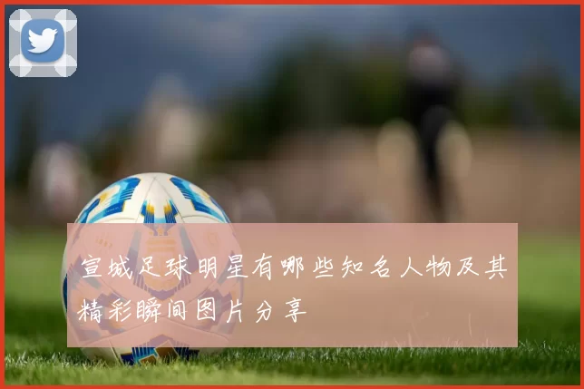 宣城足球明星有哪些知名人物及其精彩瞬间图片分享