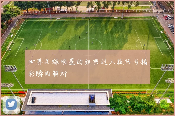 世界足球明星的经典过人技巧与精彩瞬间解析
