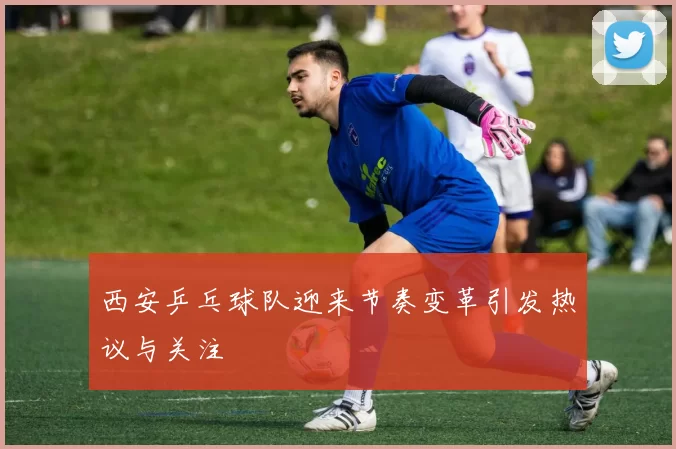 西安乒乓球队迎来节奏变革引发热议与关注