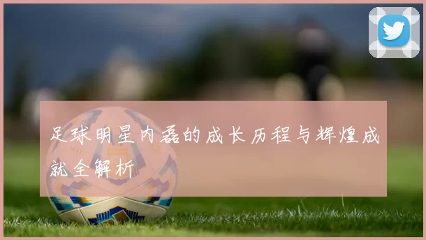 足球明星内磊的成长历程与辉煌成就全解析